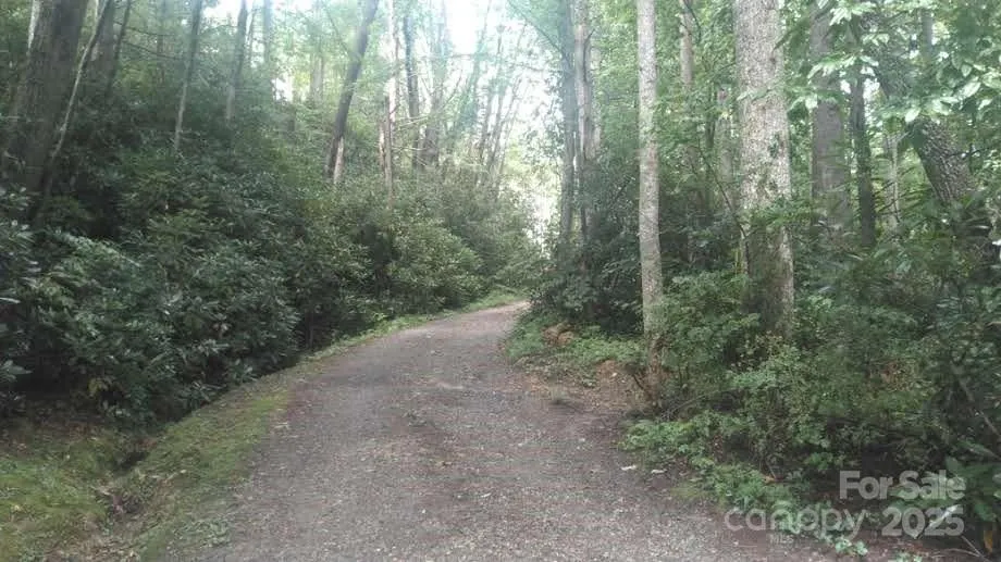 7360 NC 183 Highway Newland, NC 28657