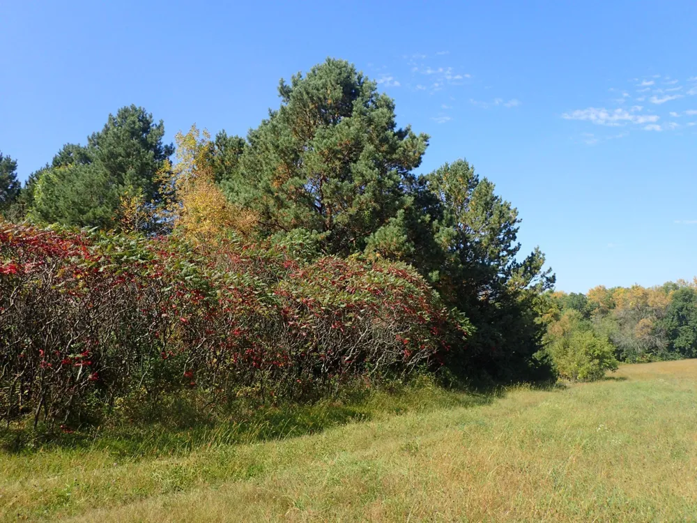 TBD8.5 County Road 106 Monticello, MN 55362