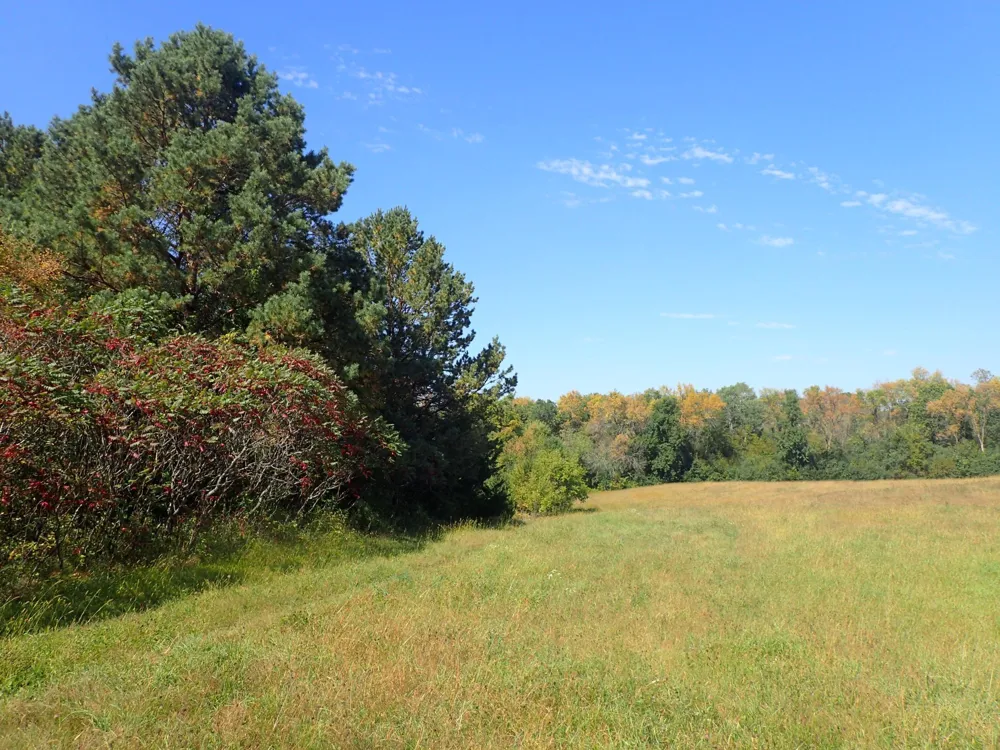 TBD8.5 County Road 106 Monticello, MN 55362