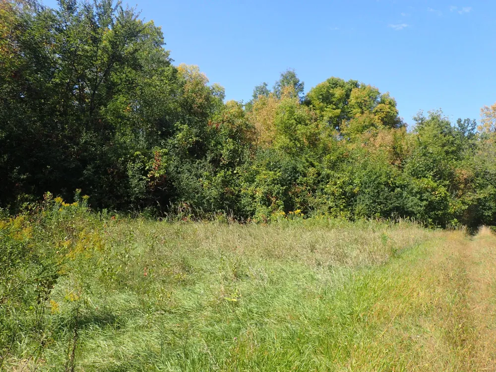 TBD8.5 County Road 106 Monticello, MN 55362