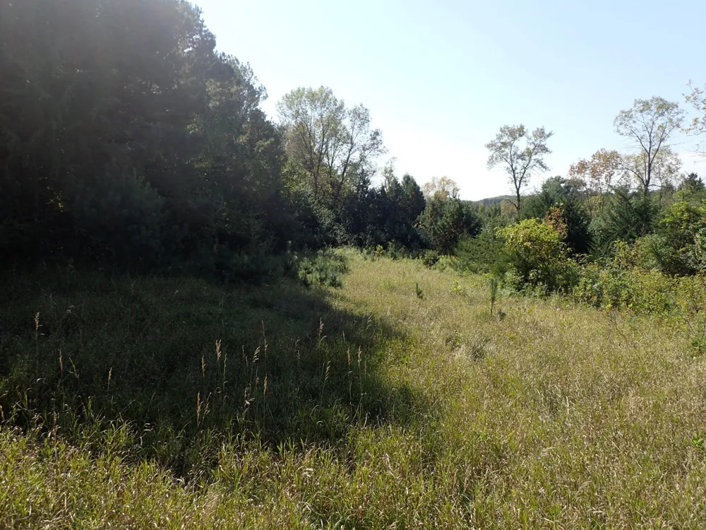 TBD8.5 County Road 106 Monticello, MN 55362