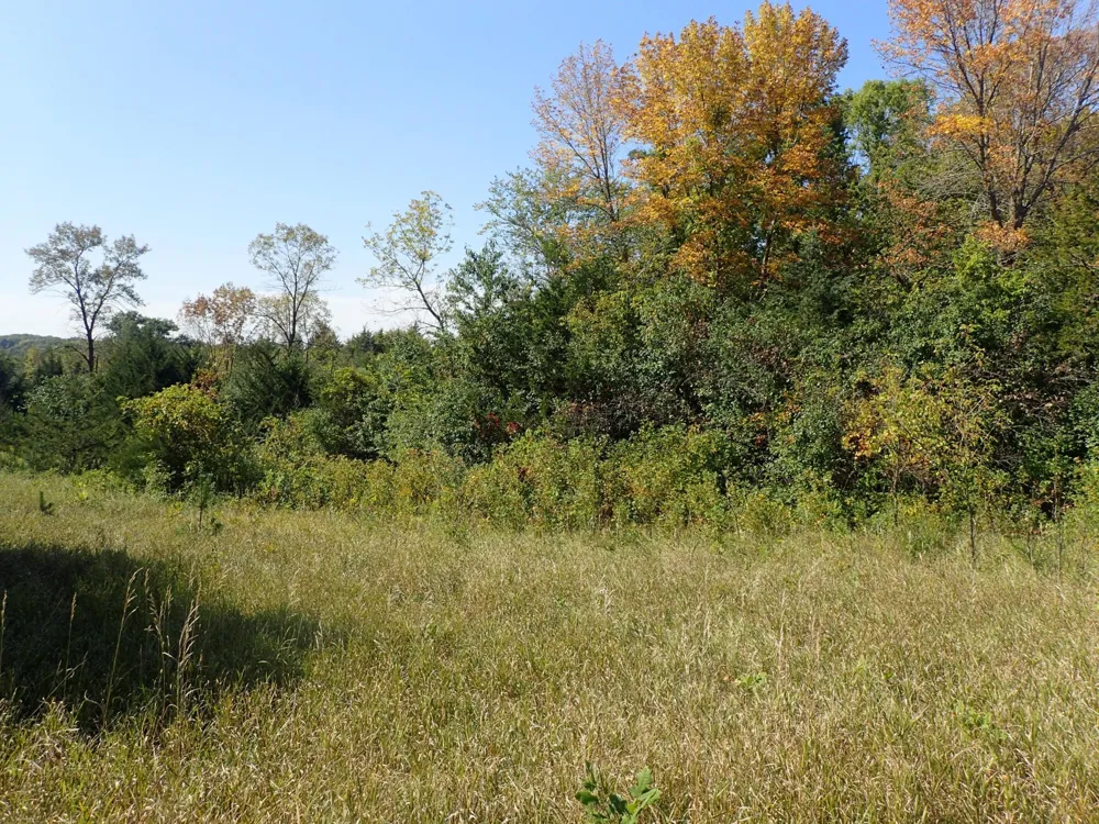 TBD8.5 County Road 106 Monticello, MN 55362