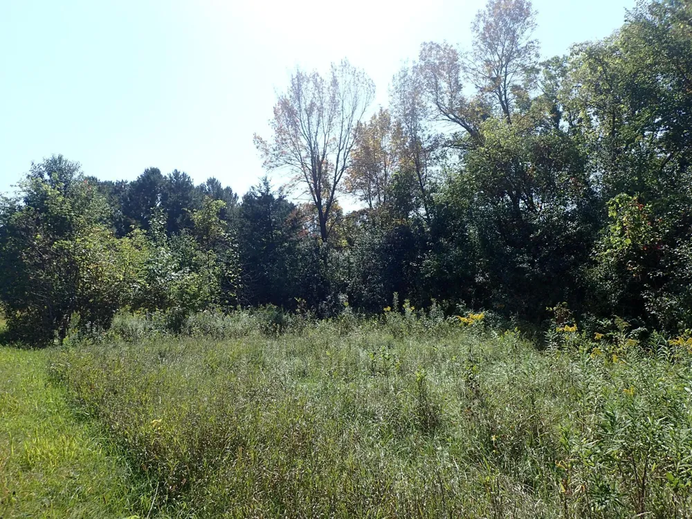 TBD8.5 County Road 106 Monticello, MN 55362
