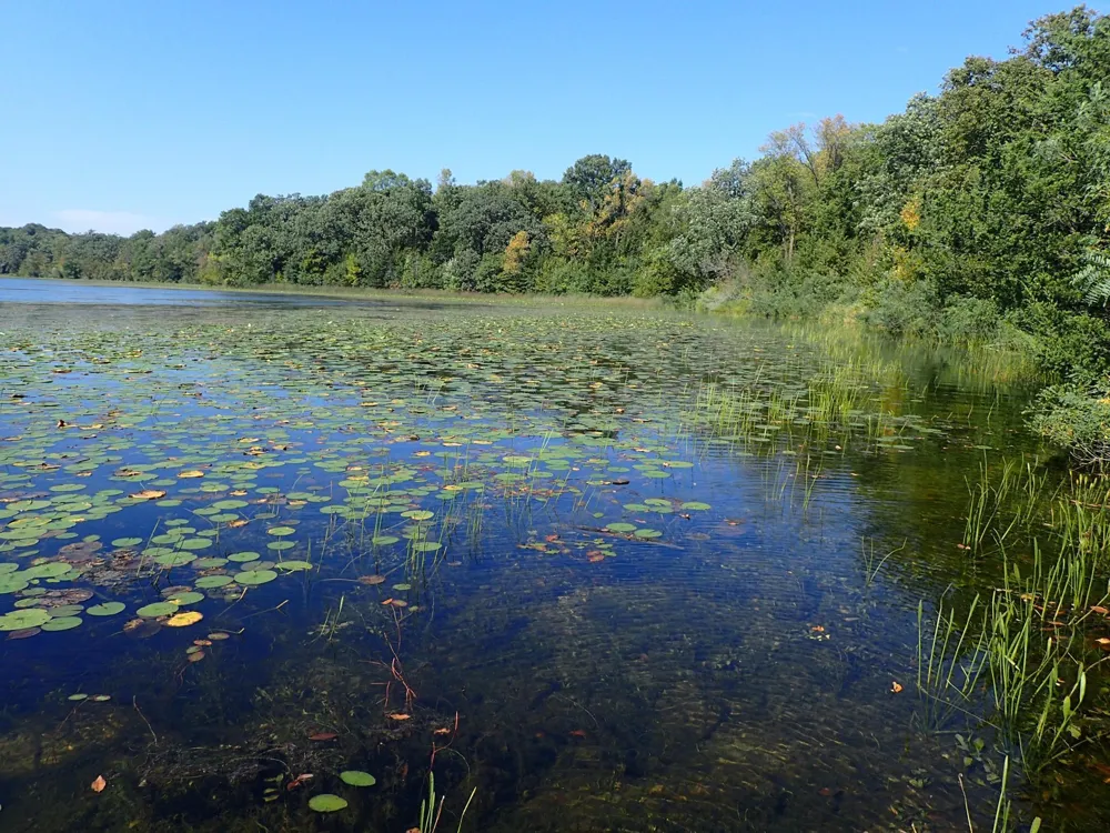 TBD8.5 County Road 106 Monticello, MN 55362