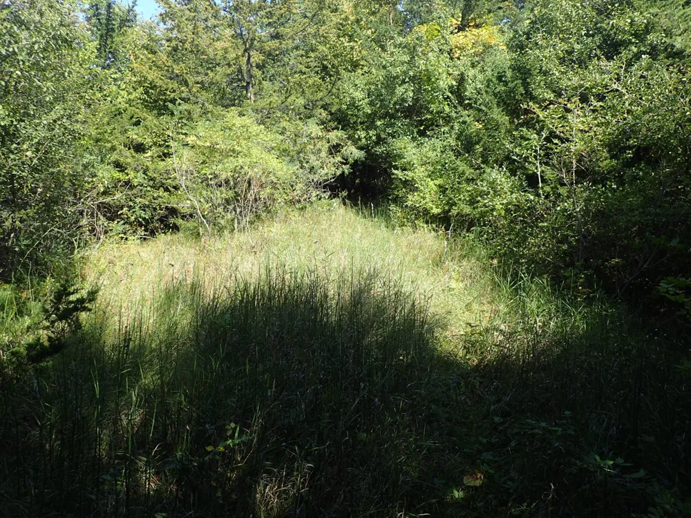 TBD8.5 County Road 106 Monticello, MN 55362
