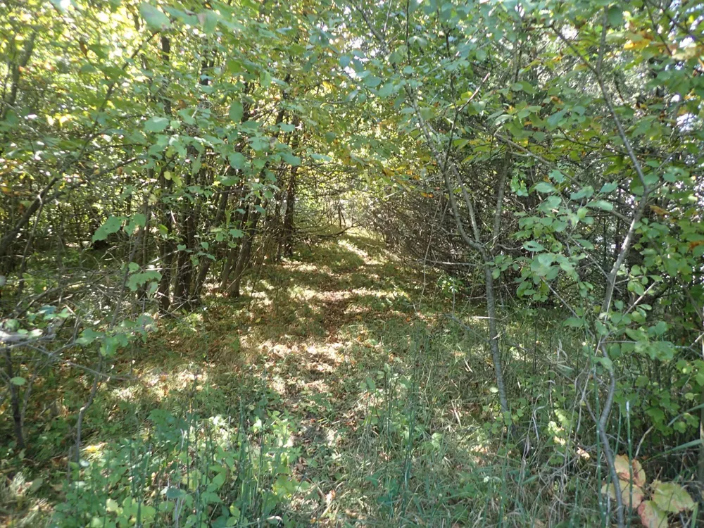 TBD8.5 County Road 106 Monticello, MN 55362