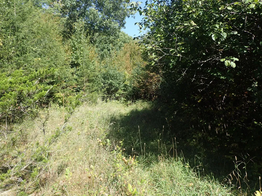 TBD8.5 County Road 106 Monticello, MN 55362