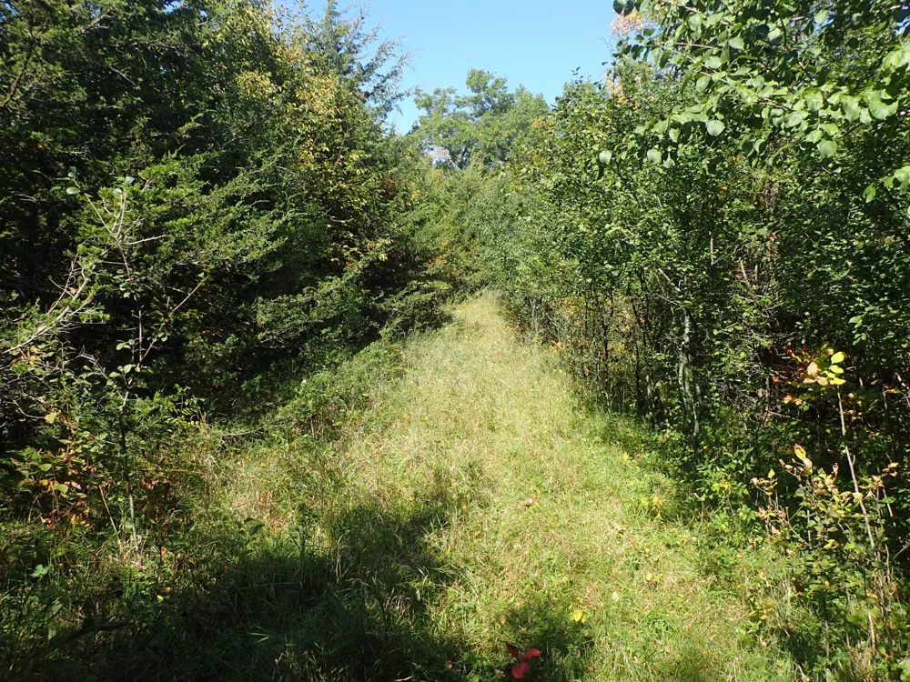 TBD8.5 County Road 106 Monticello, MN 55362