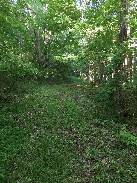 0 Gravely Hill Rd Bethpage, TN 37022