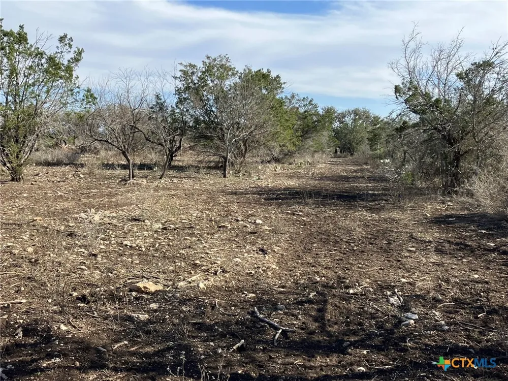 301 E South Street Camp Wood, TX 78833