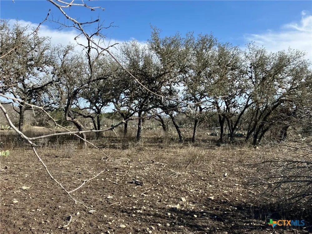 301 E South Street Camp Wood, TX 78833