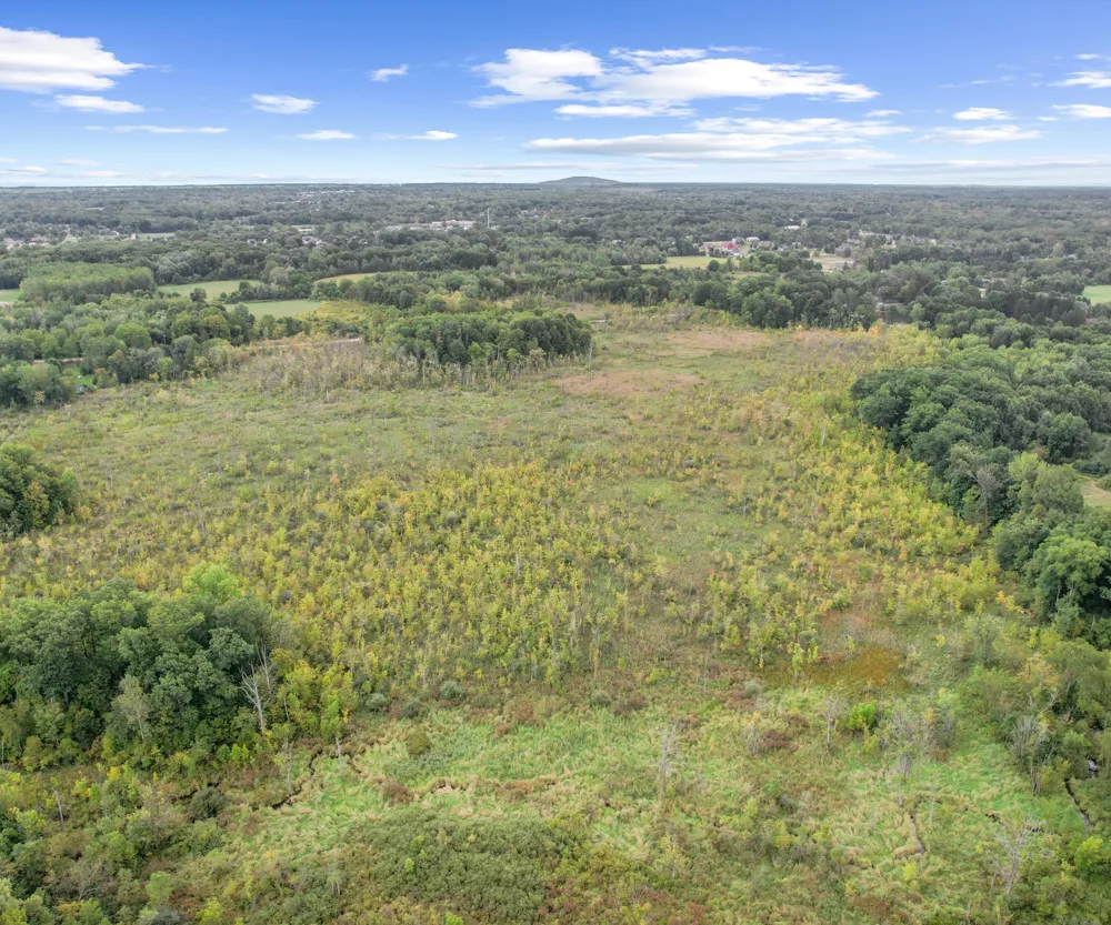 21433 Dixboro Road South Lyon, MI 48178