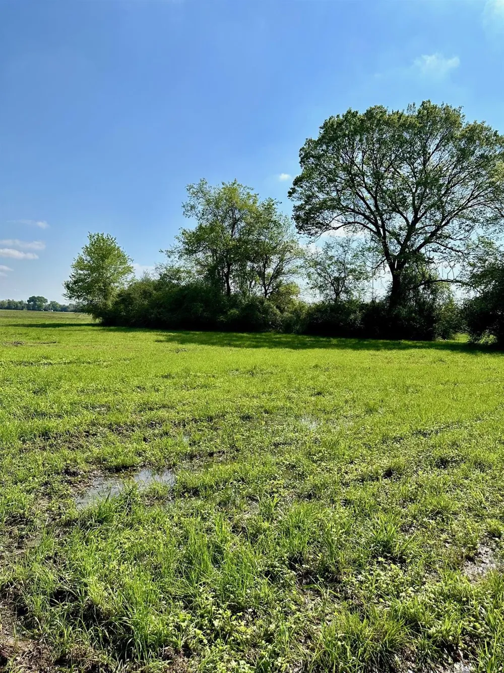 23 Southfield Trail Lovelady, TX 75851