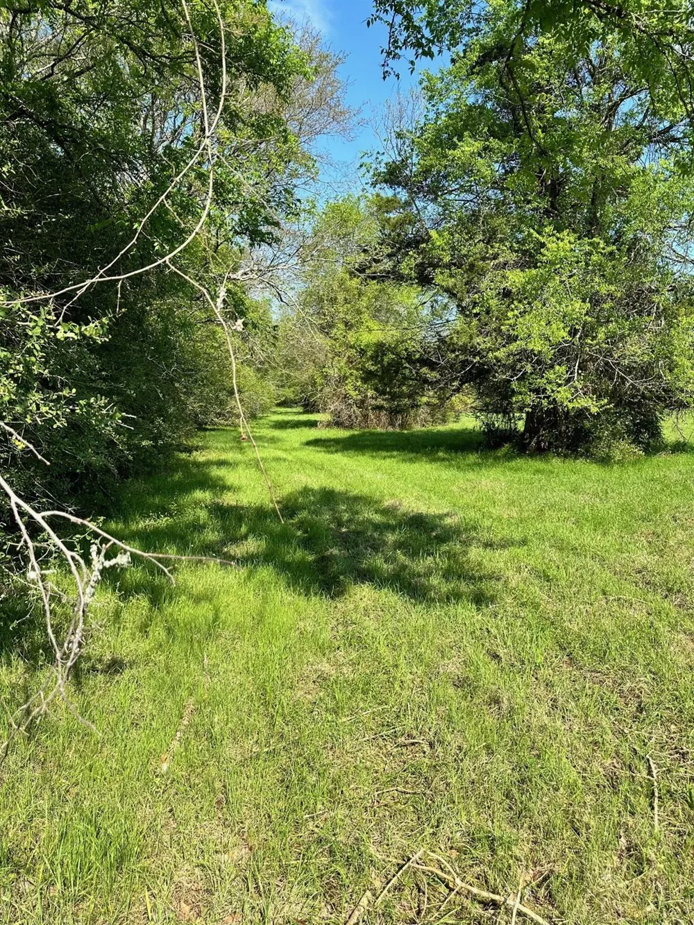 23 Southfield Trail Lovelady, TX 75851