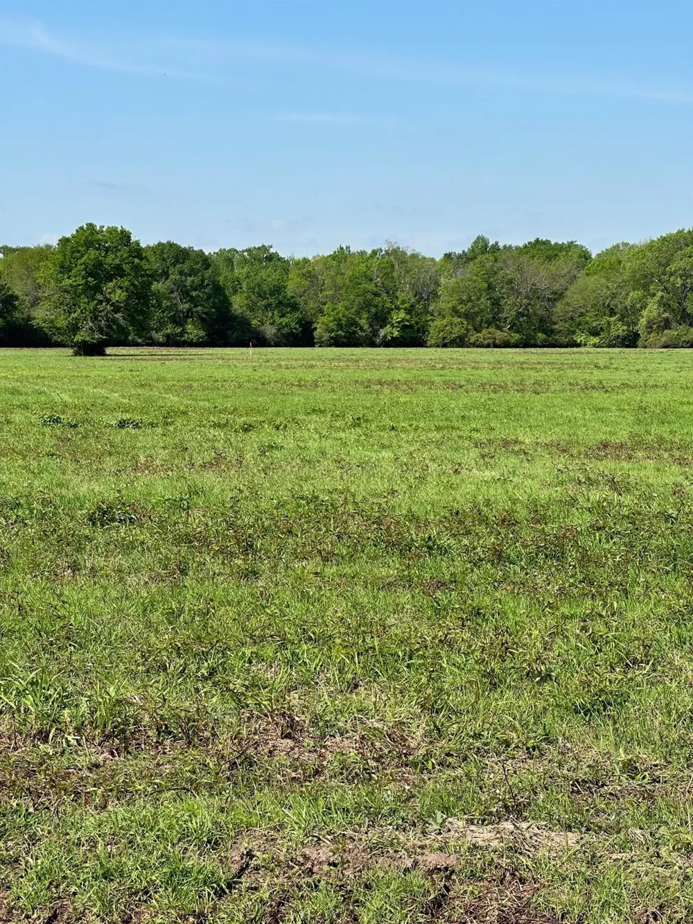 23 Southfield Trail Lovelady, TX 75851