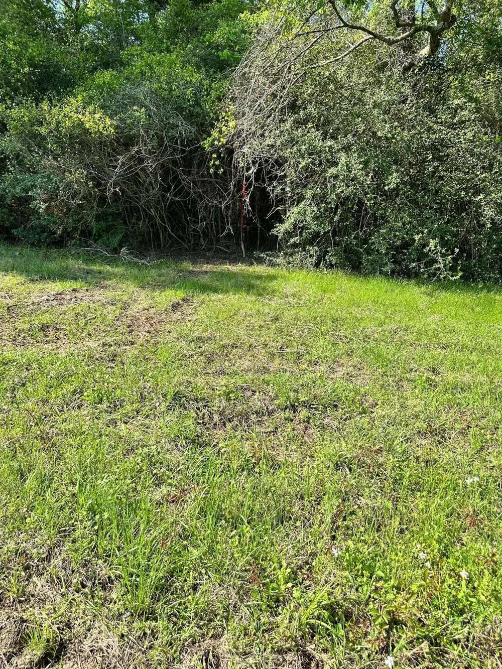 23 Southfield Trail Lovelady, TX 75851