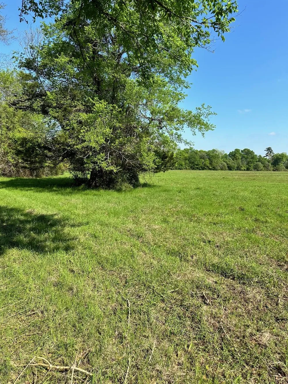 23 Southfield Trail Lovelady, TX 75851