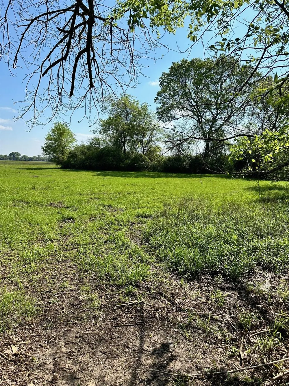 23 Southfield Trail Lovelady, TX 75851