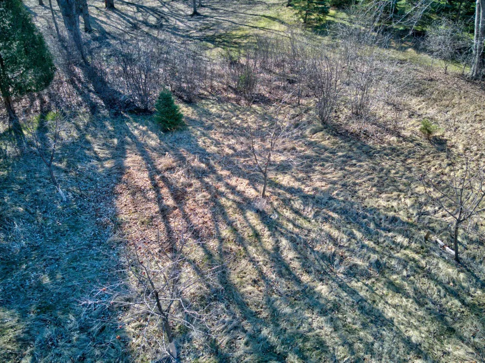 1410 Ridgewood Drive Fergus Falls, MN 56537
