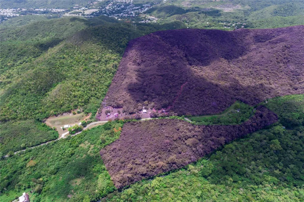 CARR 503 Ponce, PR 00715