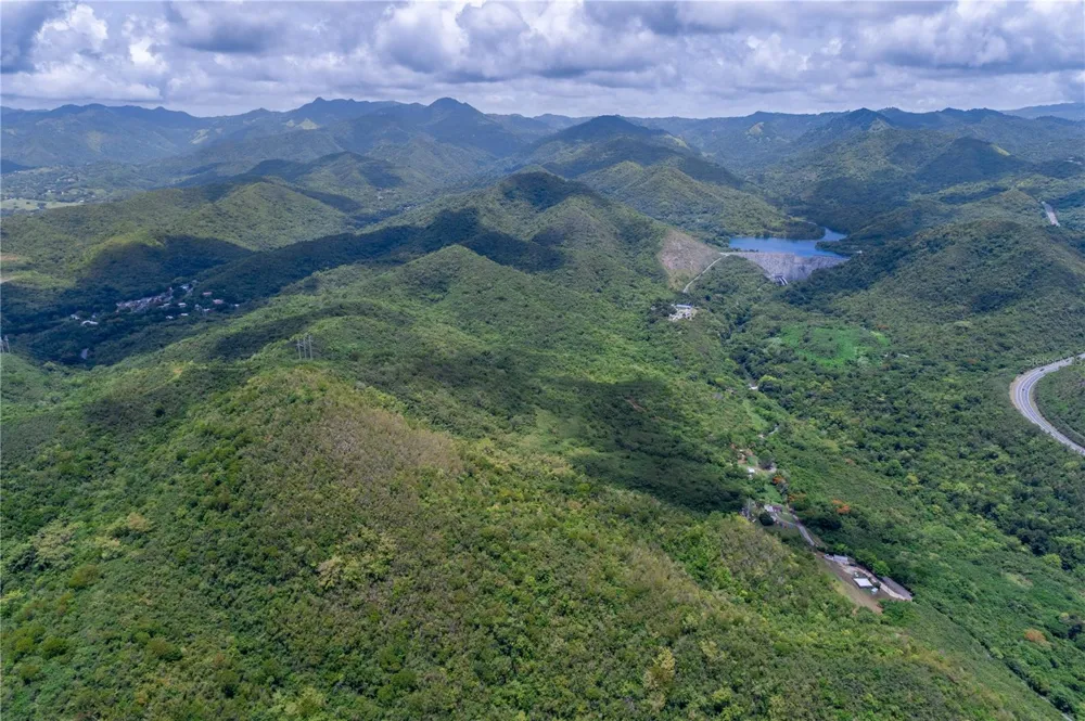 CARR 503 Ponce, PR 00715