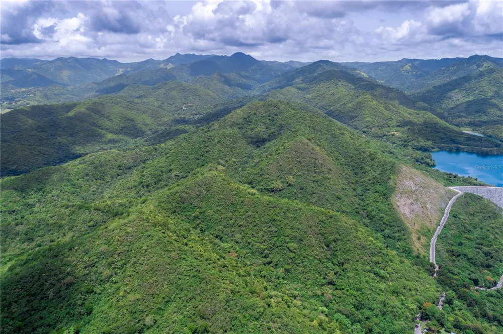 CARR 503 Ponce, PR 00715