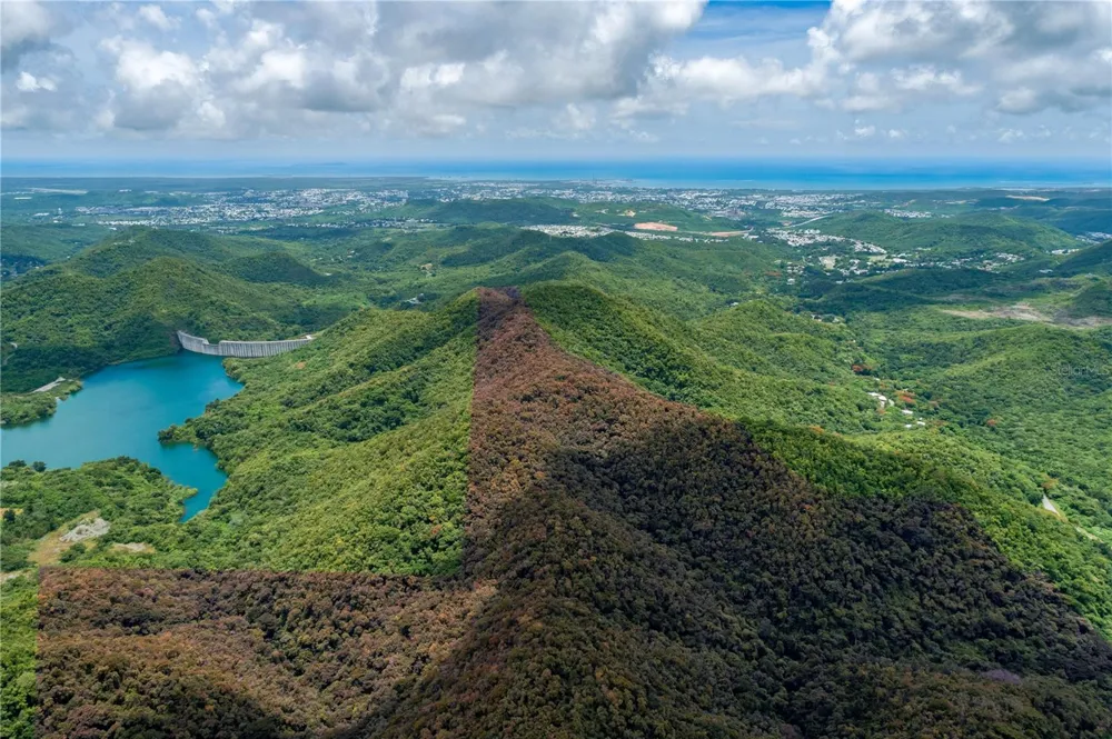 CARR 503 Ponce, PR 00715
