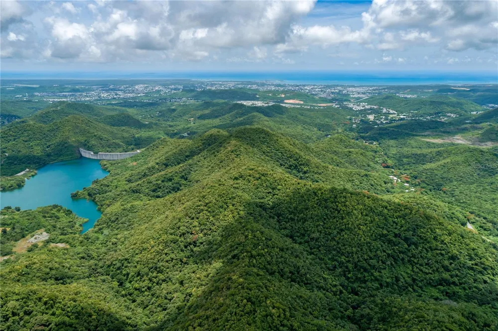 CARR 503 Ponce, PR 00715