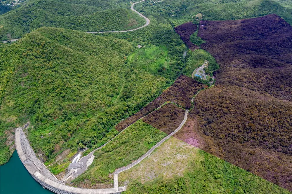 CARR 503 Ponce, PR 00715