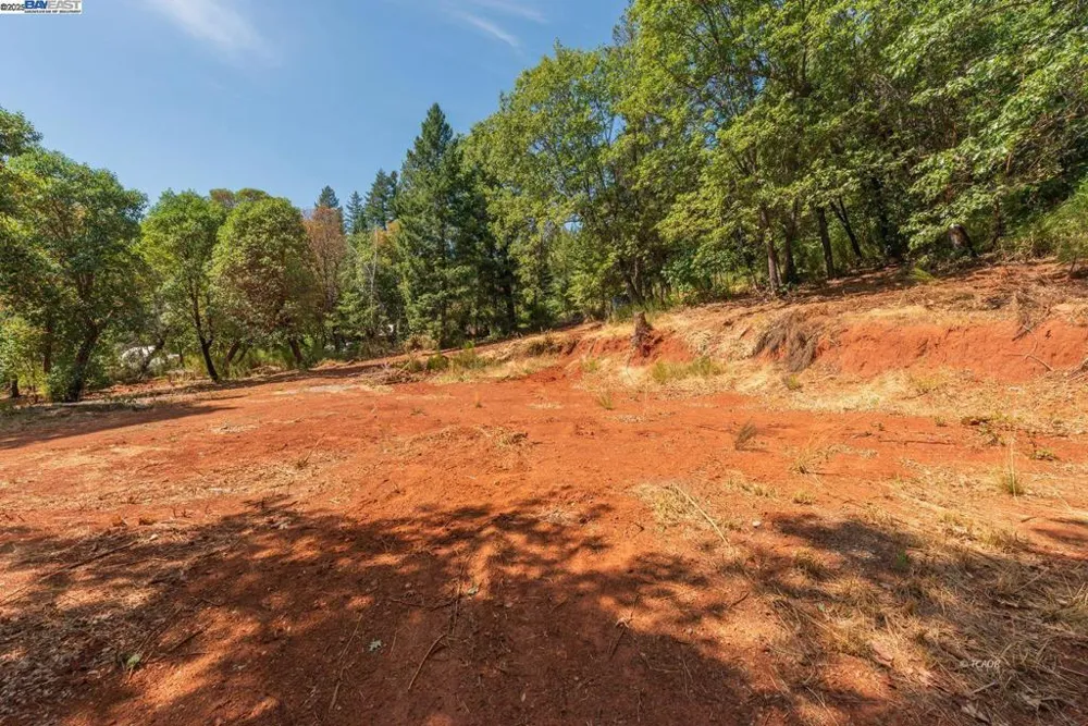 171 Connor Creek Rd Junction City, CA 96048