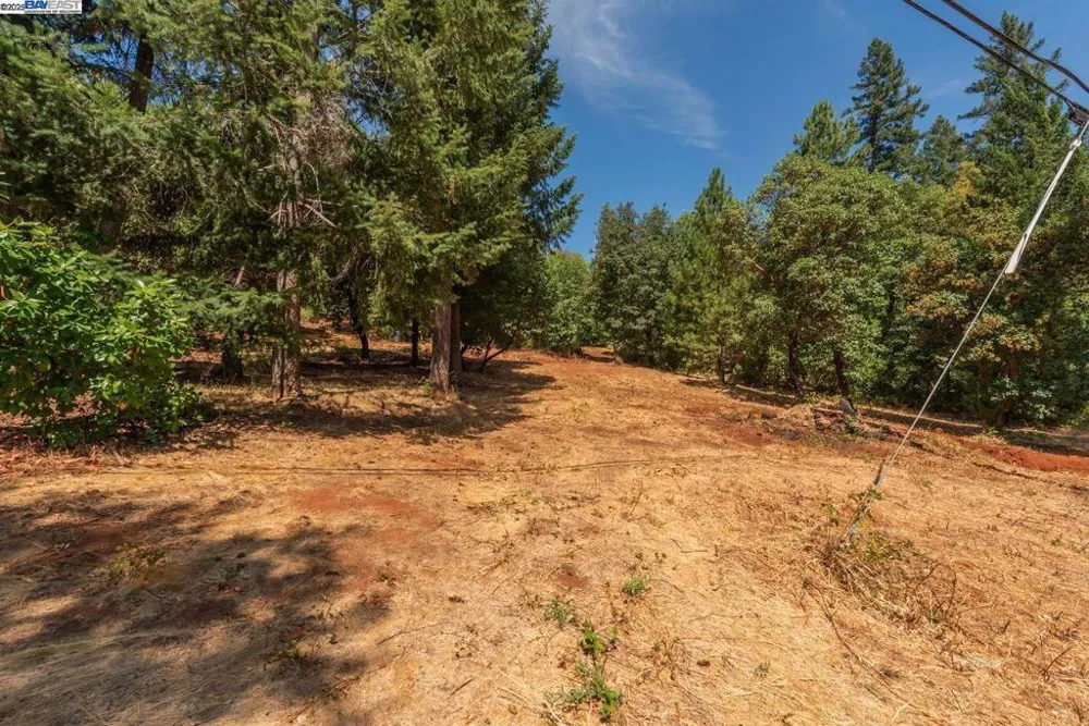 171 Connor Creek Rd Junction City, CA 96048