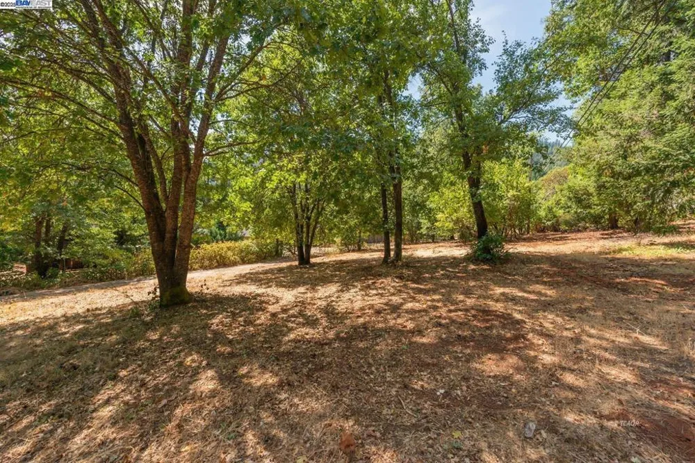 171 Connor Creek Rd Junction City, CA 96048