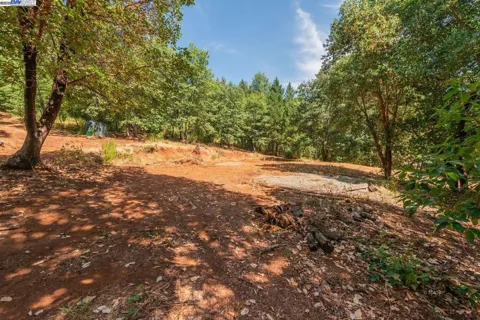 171 Connor Creek Rd