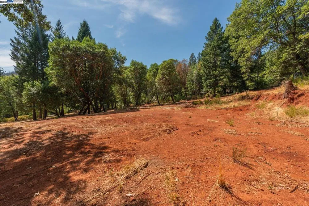 171 Connor Creek Rd Junction City, CA 96048