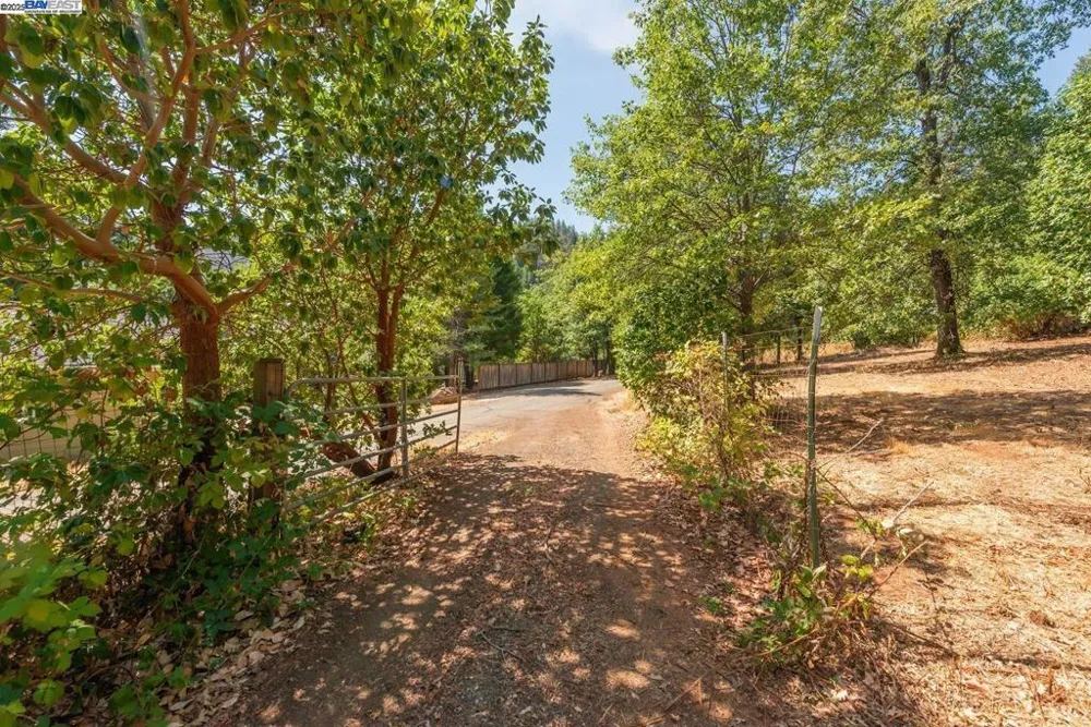 171 Connor Creek Rd Junction City, CA 96048