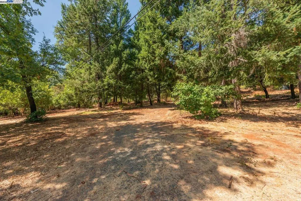 171 Connor Creek Rd Junction City, CA 96048