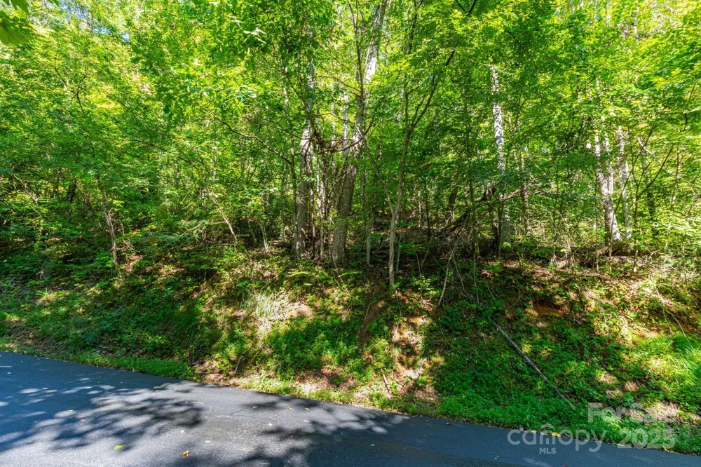 300 Running Deer Lane #70 Mars Hill, NC 28754