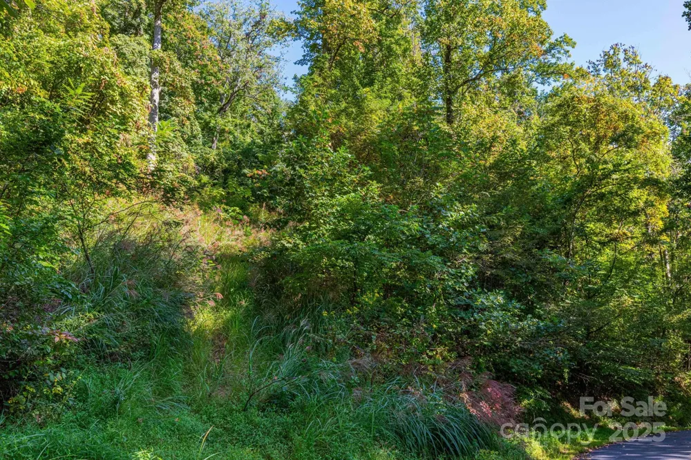 300 Running Deer Lane #70 Mars Hill, NC 28754