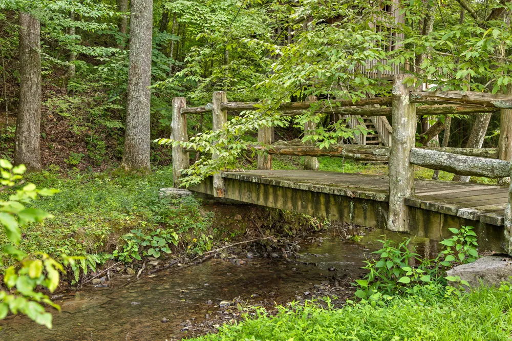 Cloudland Trace Chickamauga, GA 30707