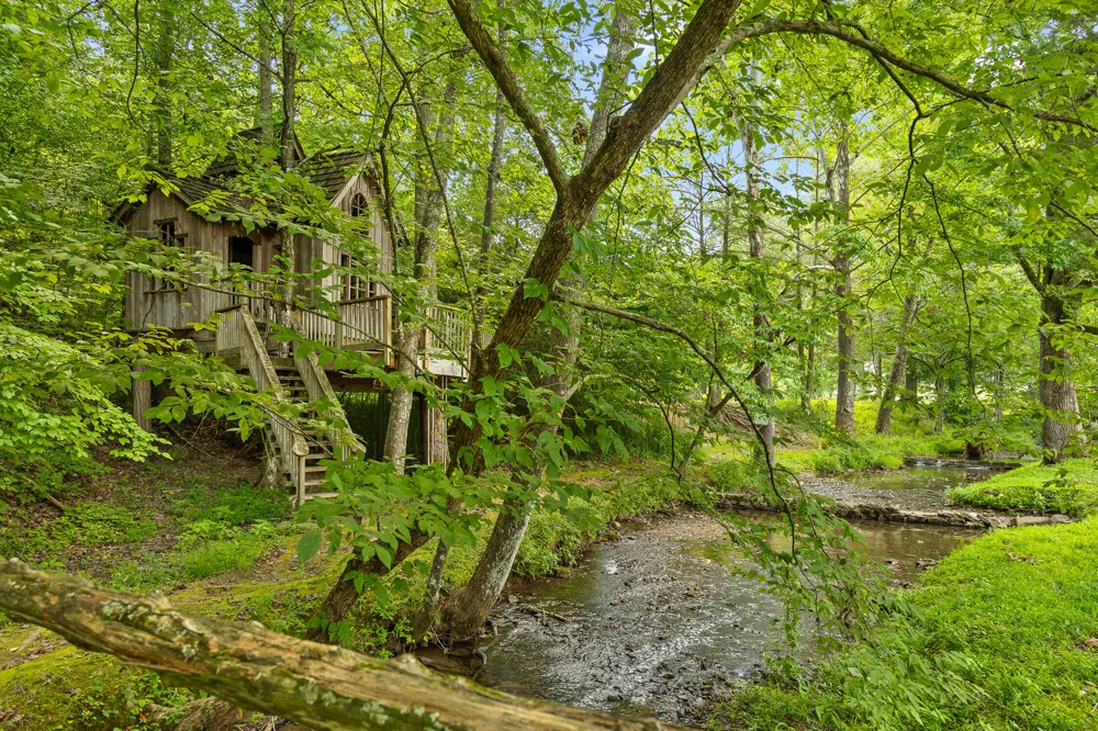Cloudland Trace Chickamauga, GA 30707