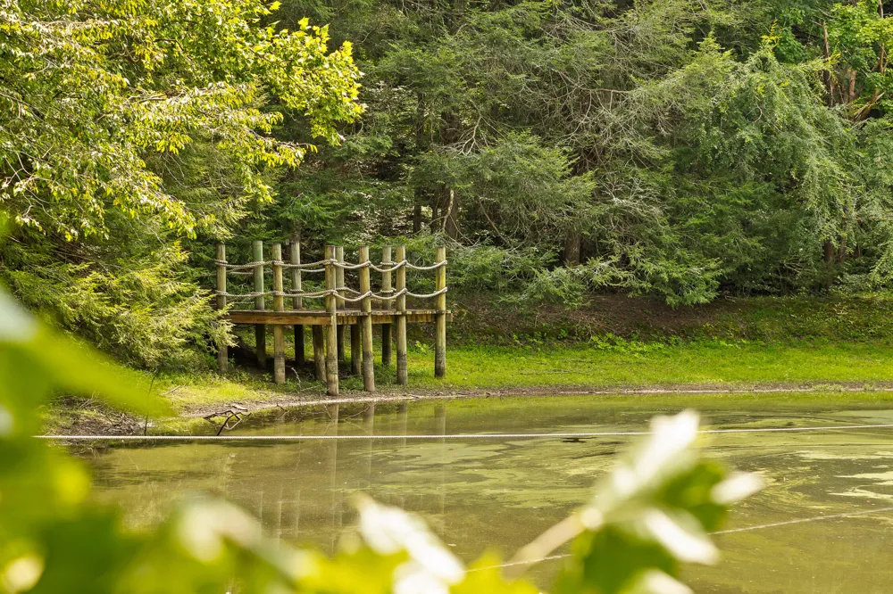 Cloudland Trace Chickamauga, GA 30707