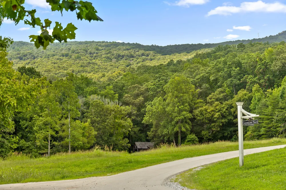 Cloudland Trace Chickamauga, GA 30707
