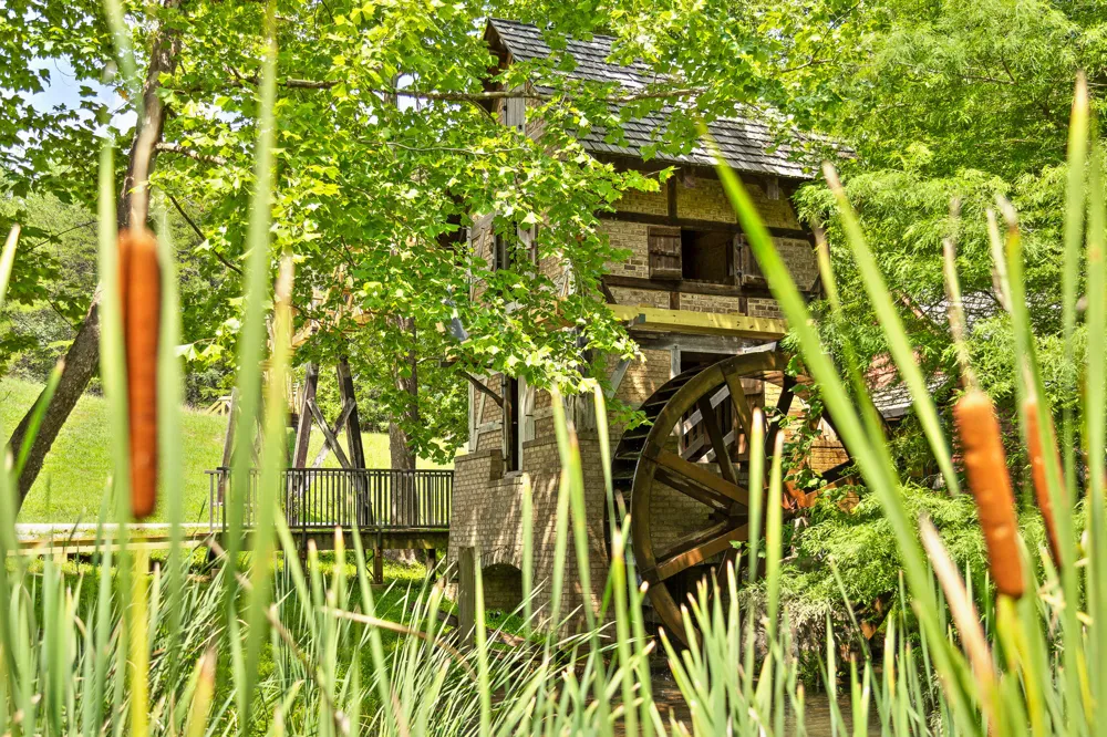 Cloudland Trace Chickamauga, GA 30707