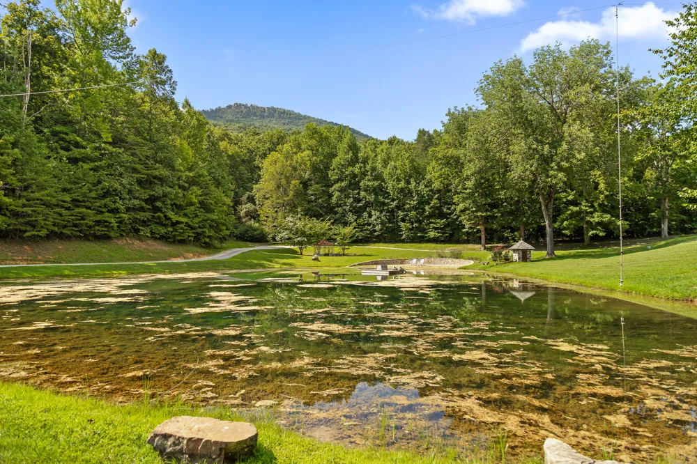 Cloudland Trace Chickamauga, GA 30707