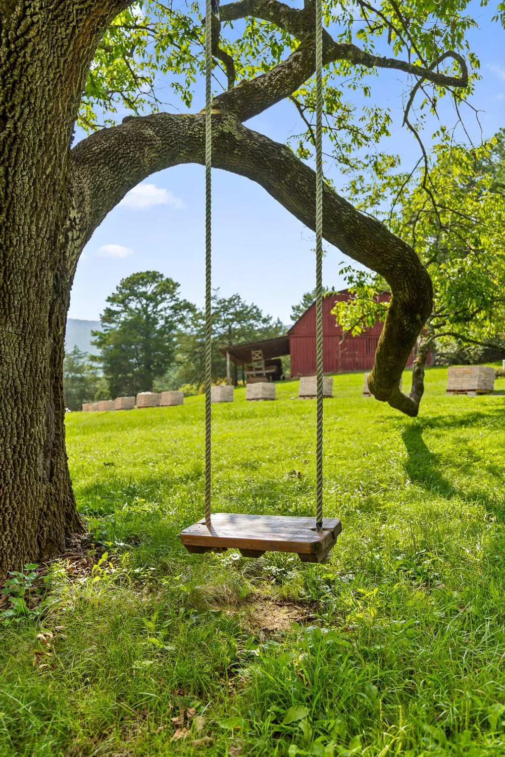 Cloudland Trace Chickamauga, GA 30707