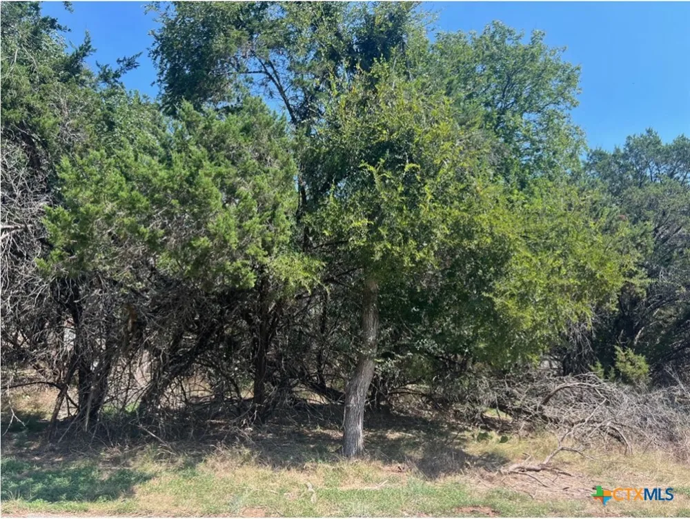 10 Teakwood Loop Morgans Point Resort, TX 76513