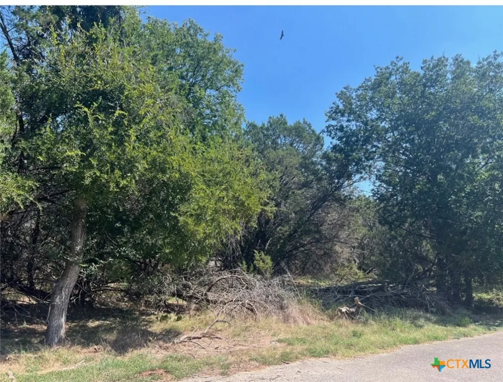 10 Teakwood Loop Morgans Point Resort, TX 76513