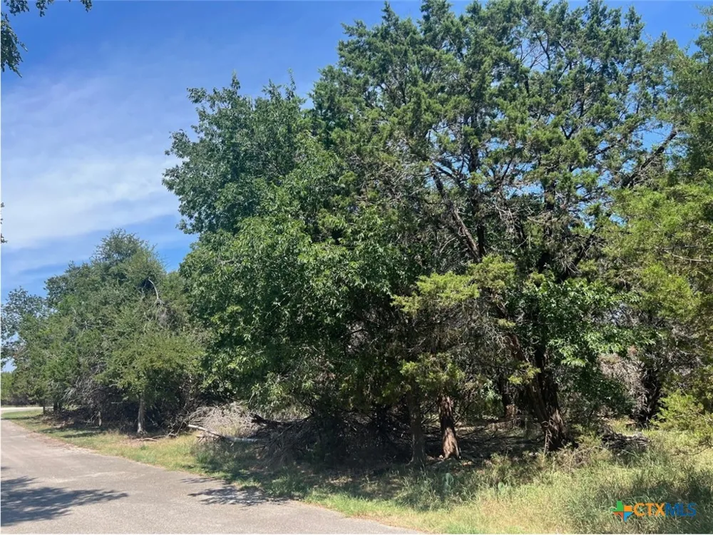 10 Teakwood Loop Morgans Point Resort, TX 76513