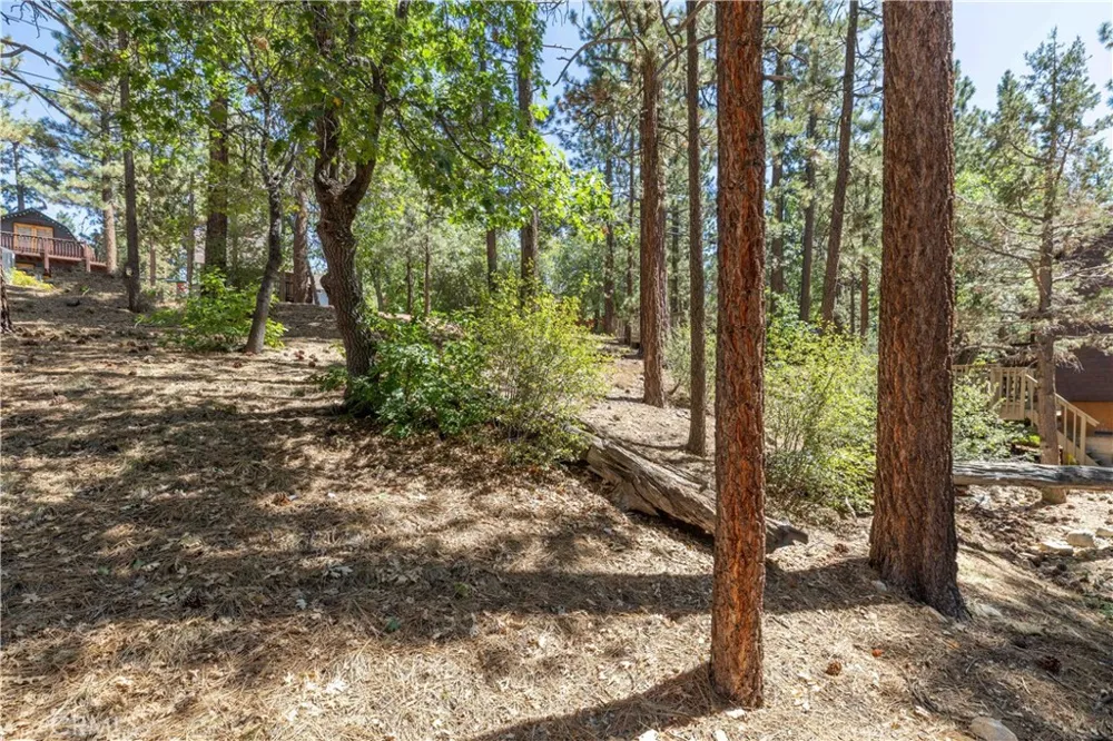 Kern Sugarloaf, CA 92386