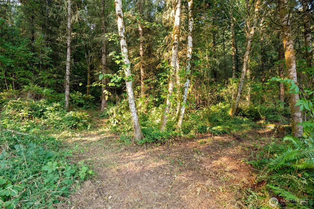 189 Kjesbu Road Silver Creek, WA 98585